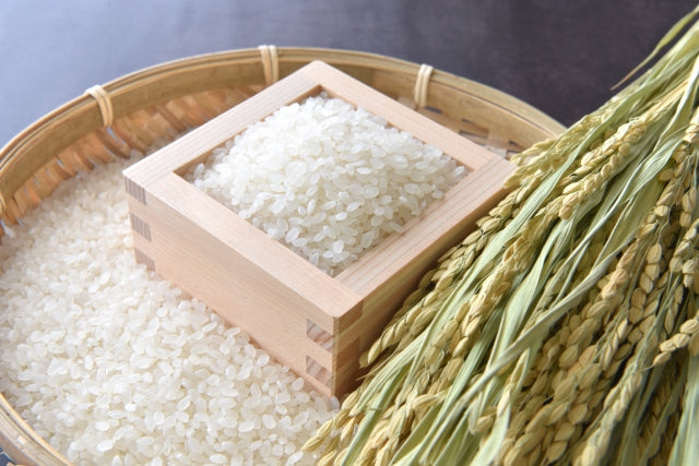 【無農薬】いしかわ県産自然栽培こしひかり『ねんぐ米』お試し1合
