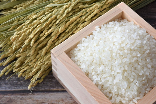 【無農薬】いしかわ県産自然栽培こしひかり『ねんぐ米』ファミリーサイズ3合